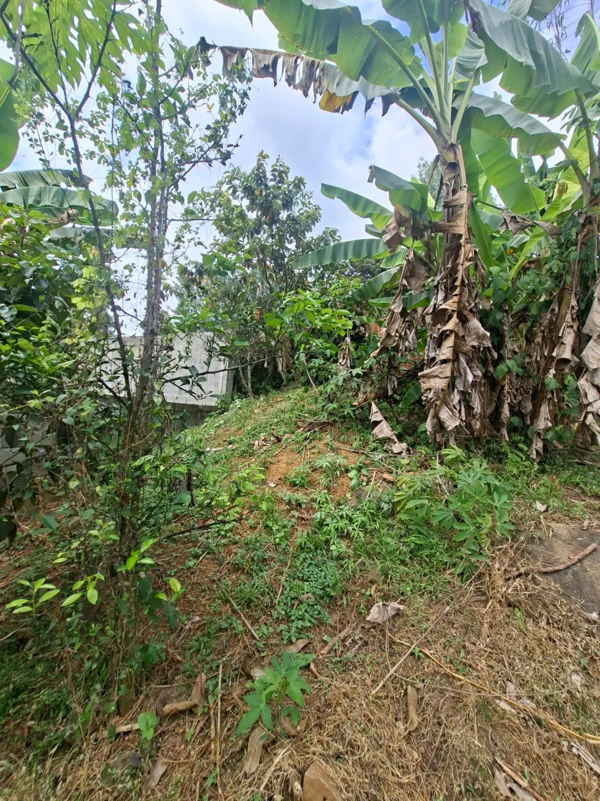 Lot for Sale in Cerro Azul Panama