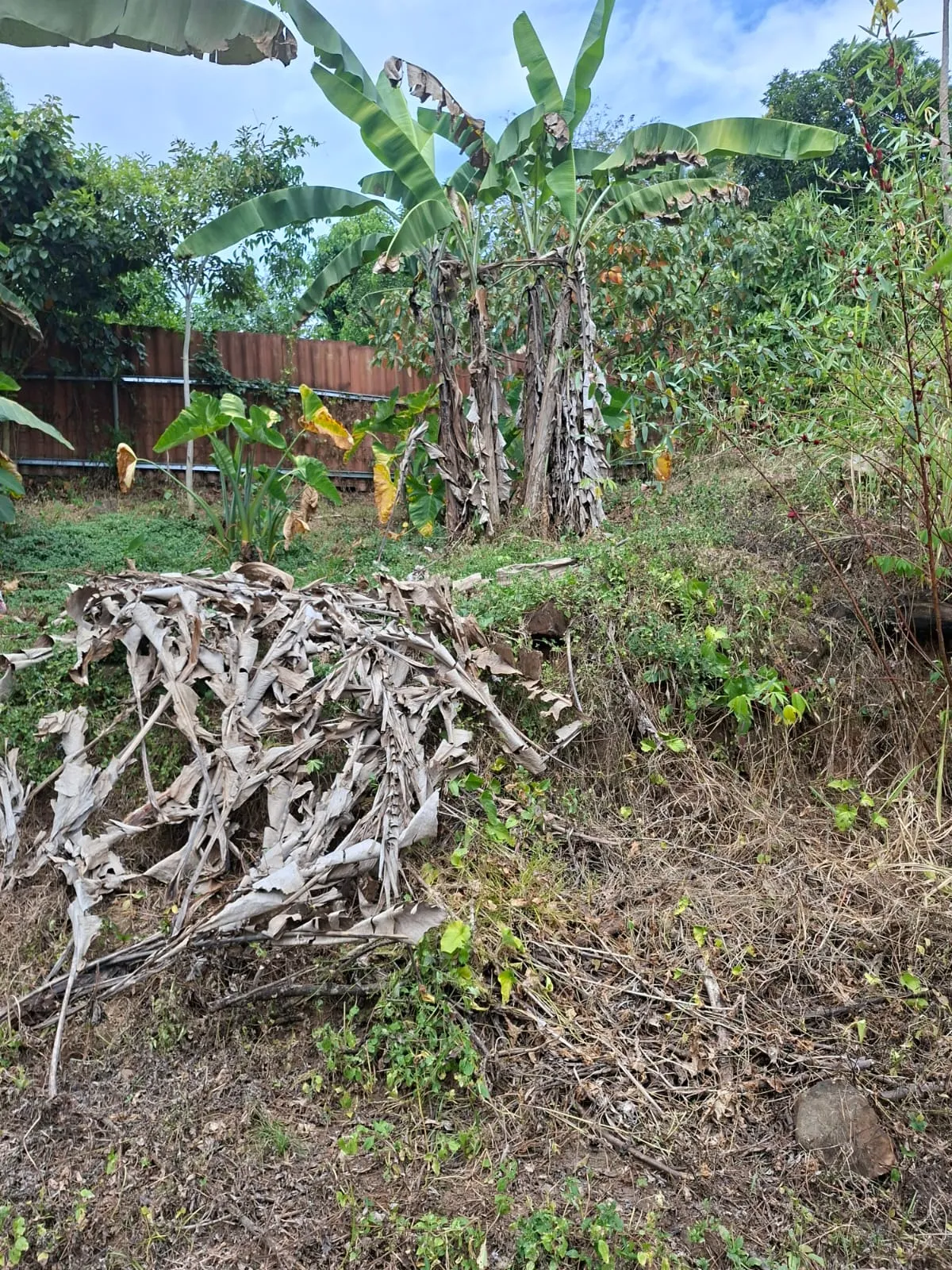 Lot for Sale in Cerro Azul Panama