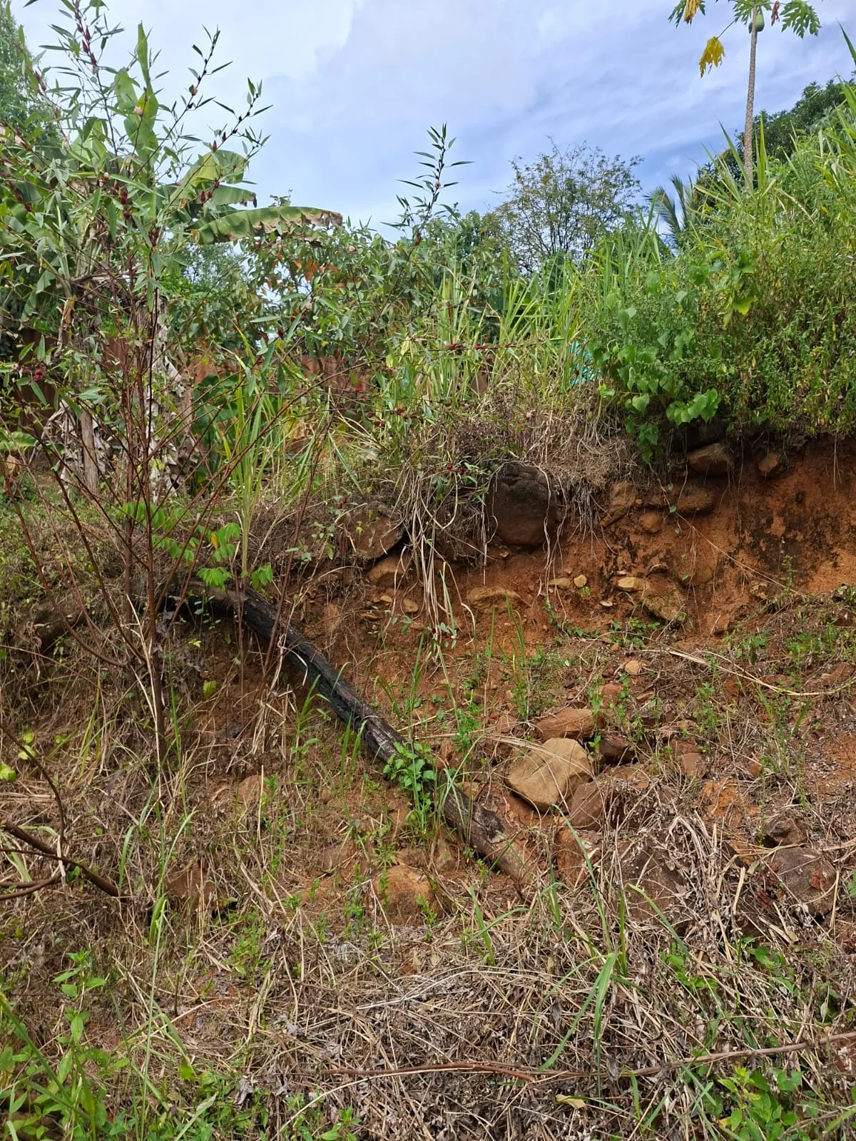 Lot for Sale in Cerro Azul Panama