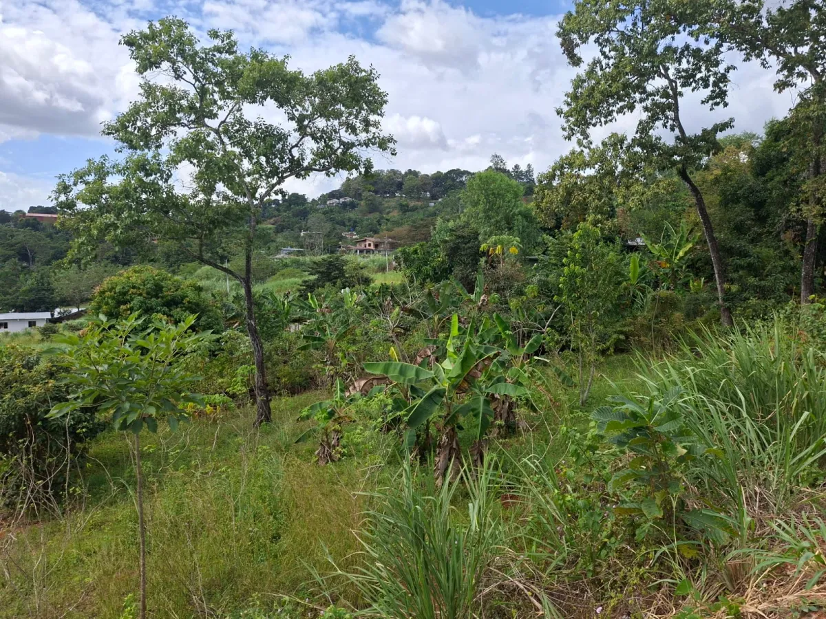 Lot for Sale in Cerro Azul Panama