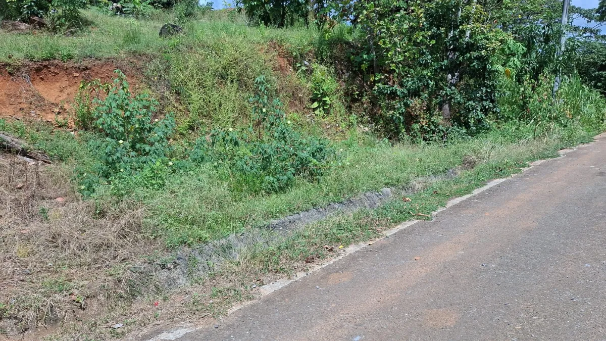 Lot for Sale in Cerro Azul Panama