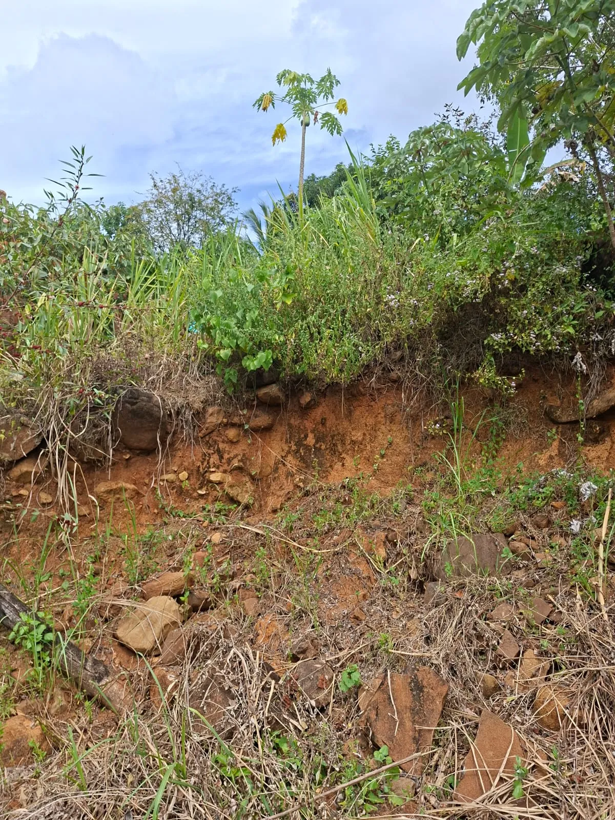 Lot for Sale in Cerro Azul Panama
