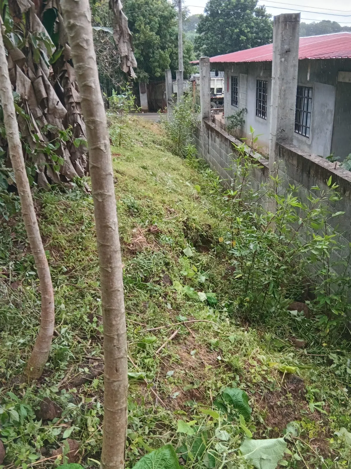 Lot for Sale in Cerro Azul Panama