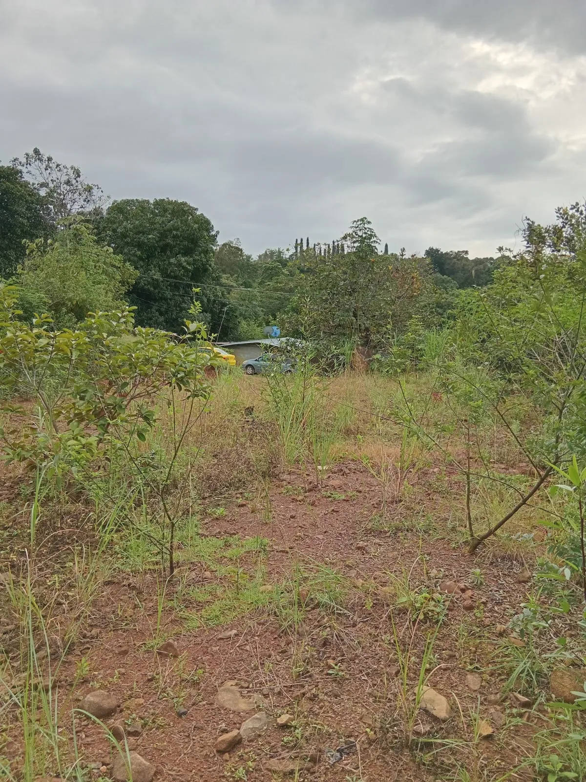 Lot for Sale in Cerro Azul Panama