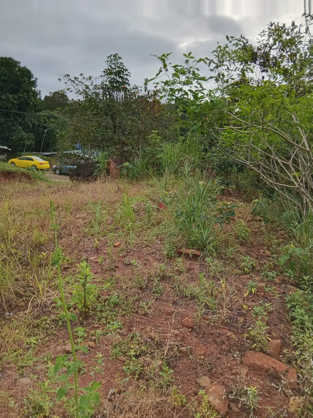 Lot for Sale in Cerro Azul Panama