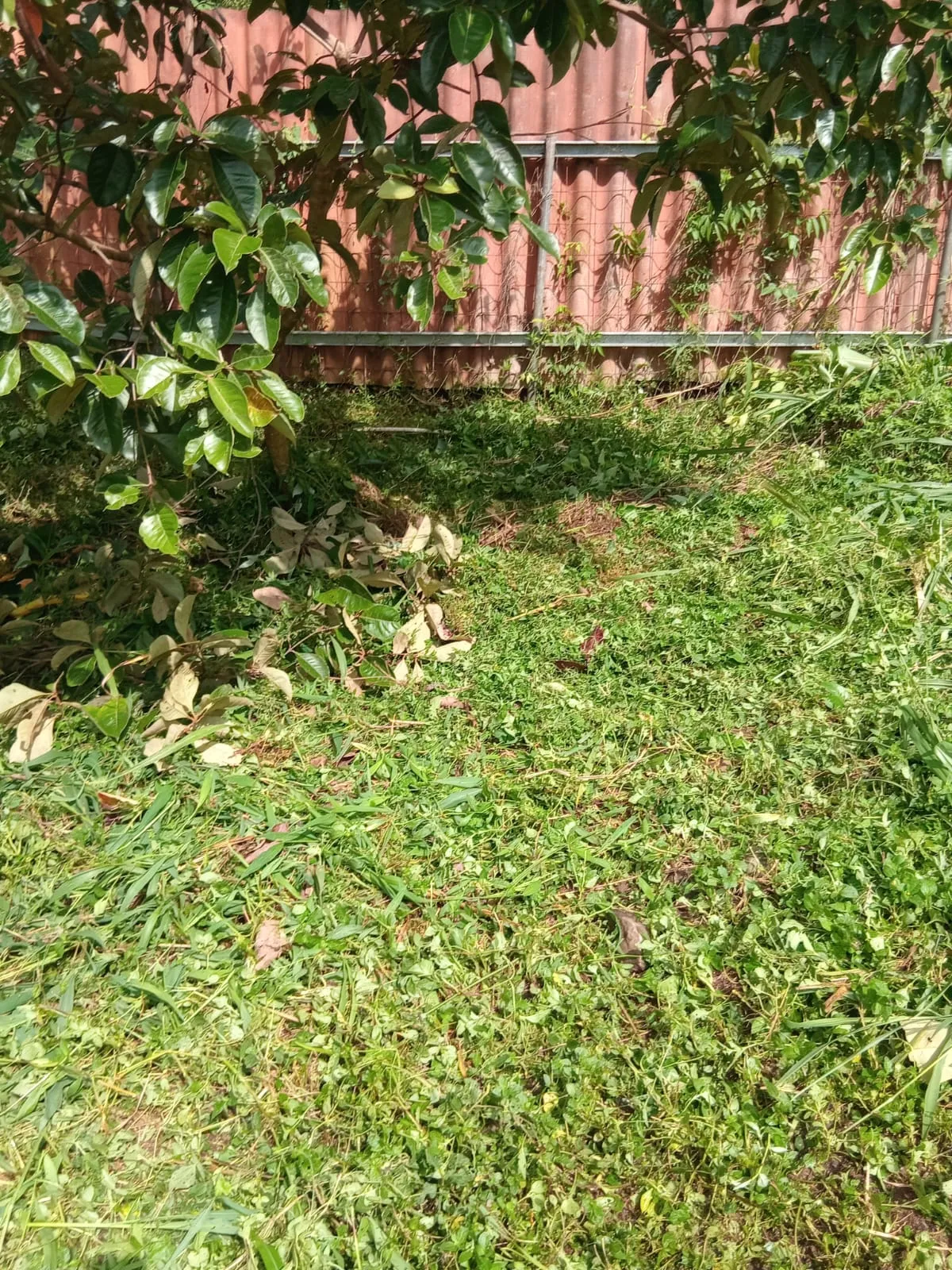 Lot for Sale in Cerro Azul Panama