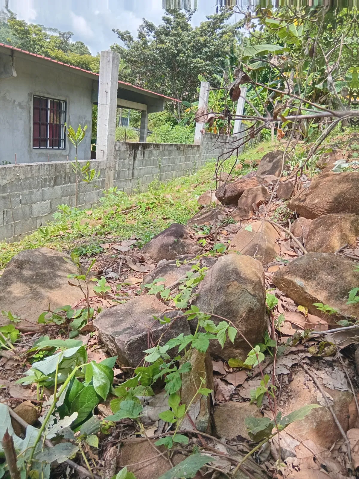 Lot for Sale in Cerro Azul Panama