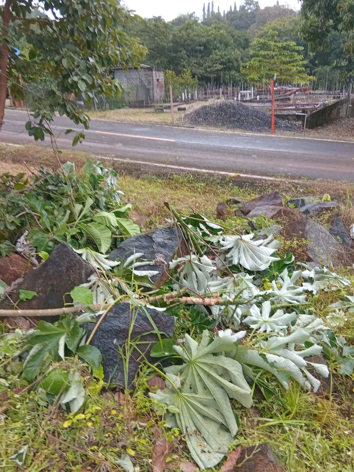 Lot for Sale in Cerro Azul Panama