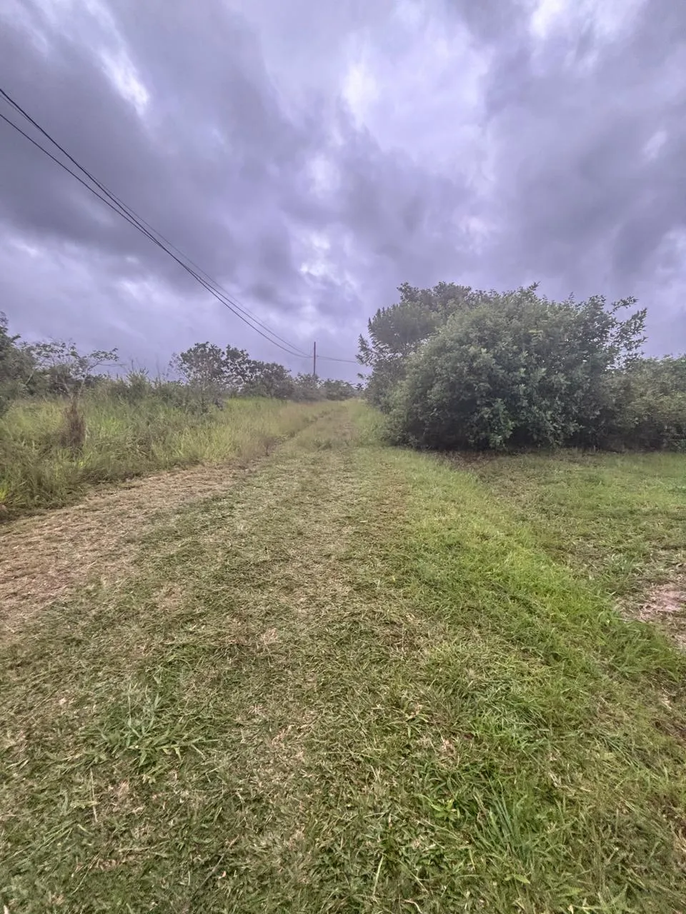 Terre / Ferme à Dolega à vendre