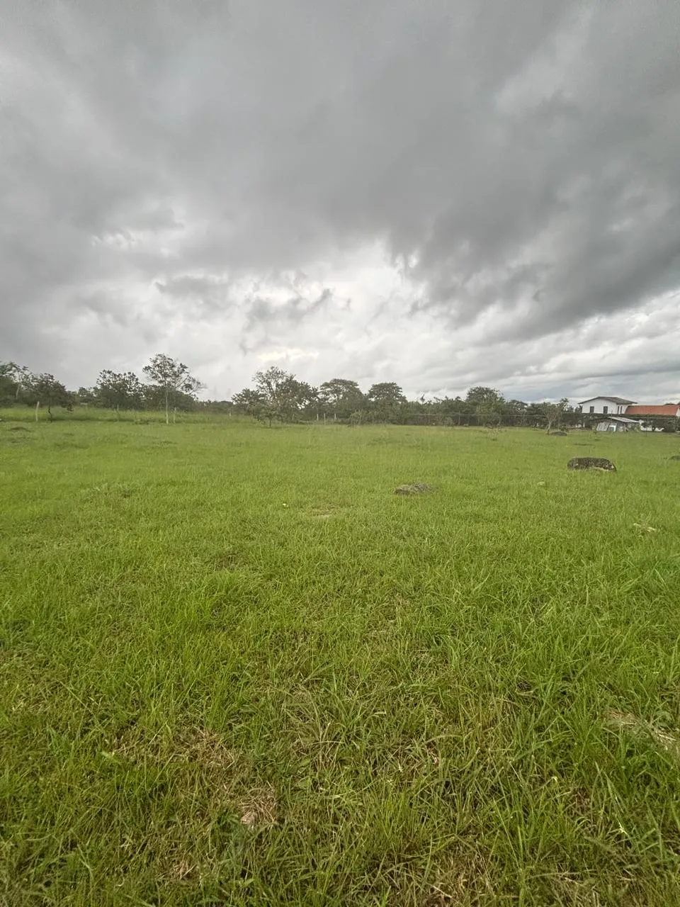 Terre / Ferme à Dolega à vendre