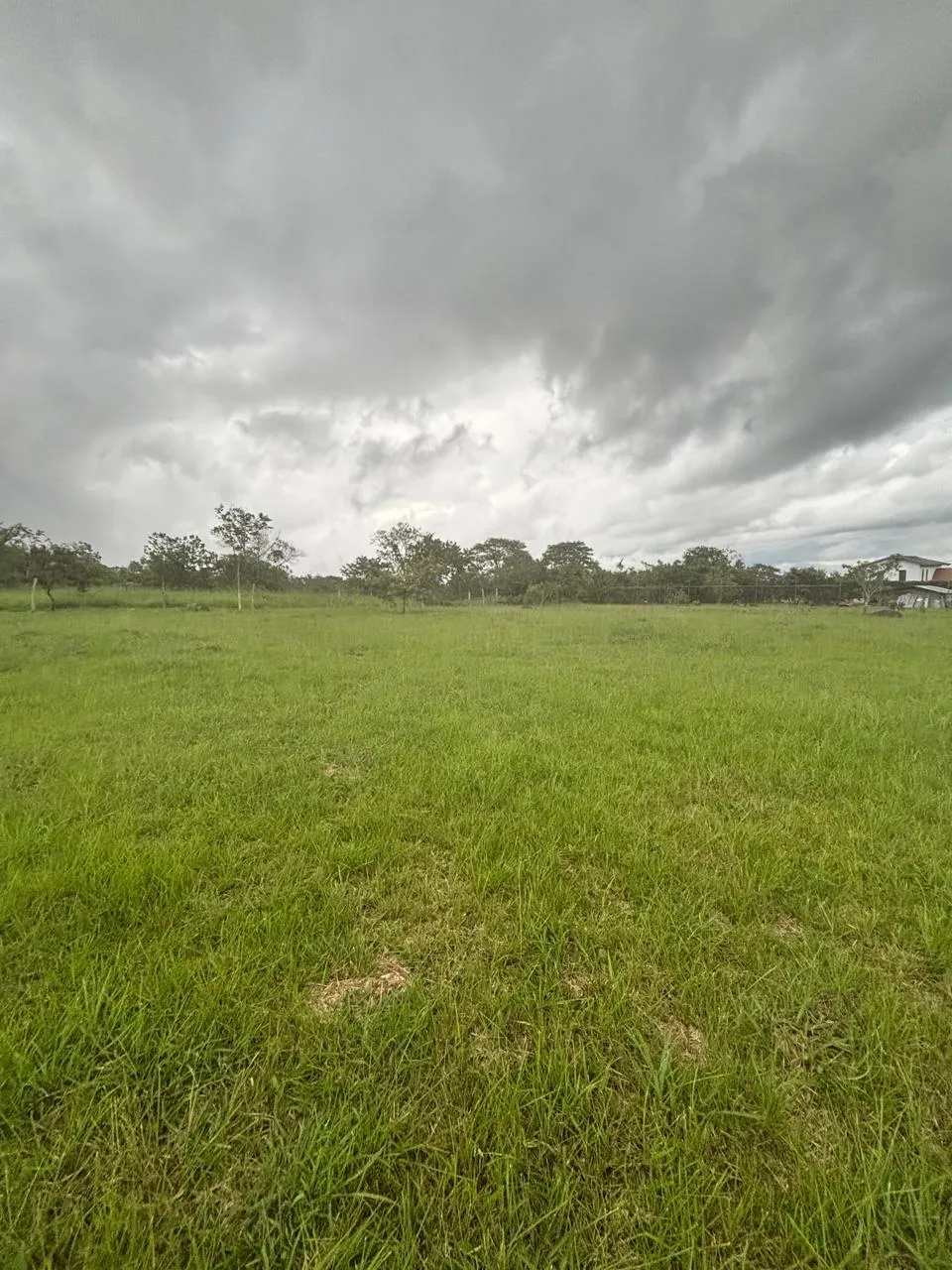 Terre / Ferme à Dolega à vendre