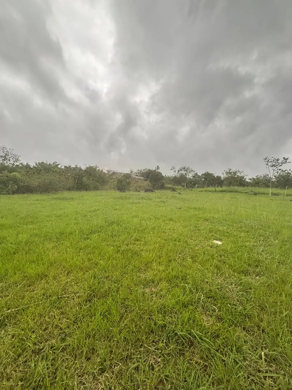 Terre / Ferme à Dolega à vendre