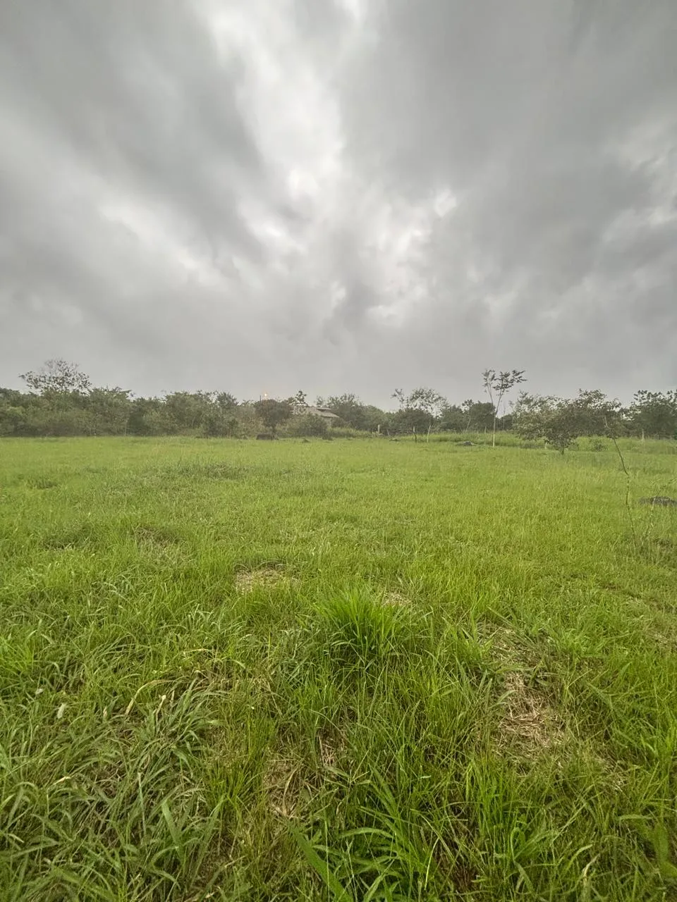 Terre / Ferme à Dolega à vendre