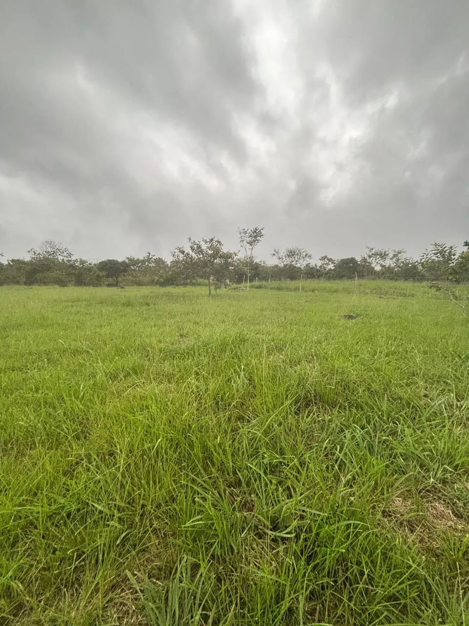 Terre / Ferme à Dolega à vendre