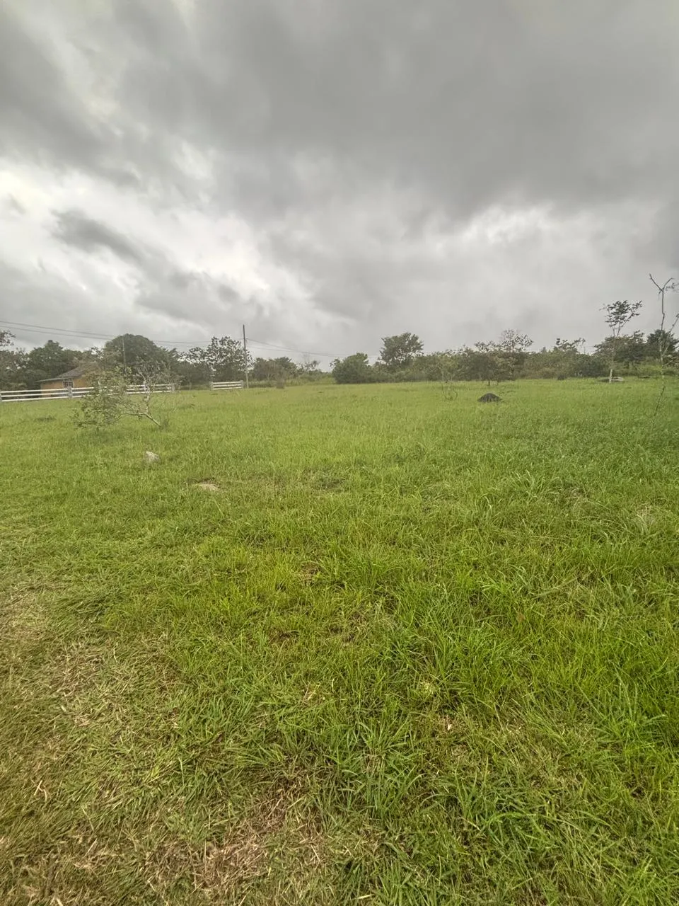Terre / Ferme à Dolega à vendre