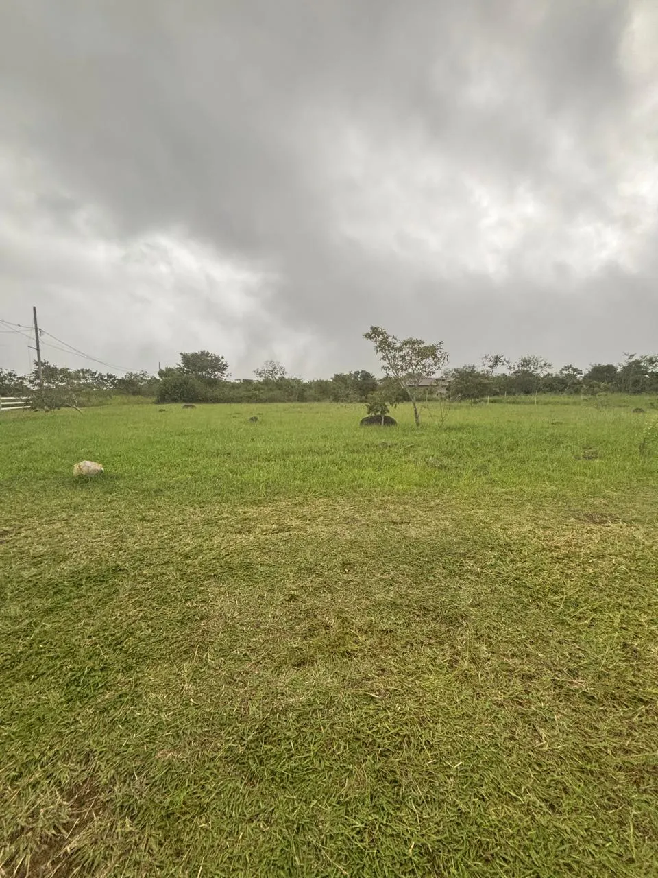 Terre / Ferme à Dolega à vendre