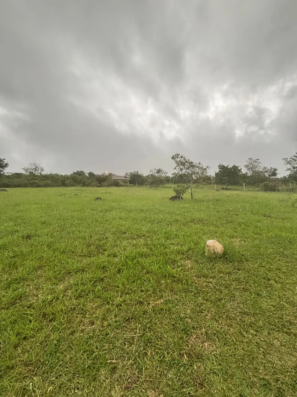 Terre / Ferme à Dolega à vendre