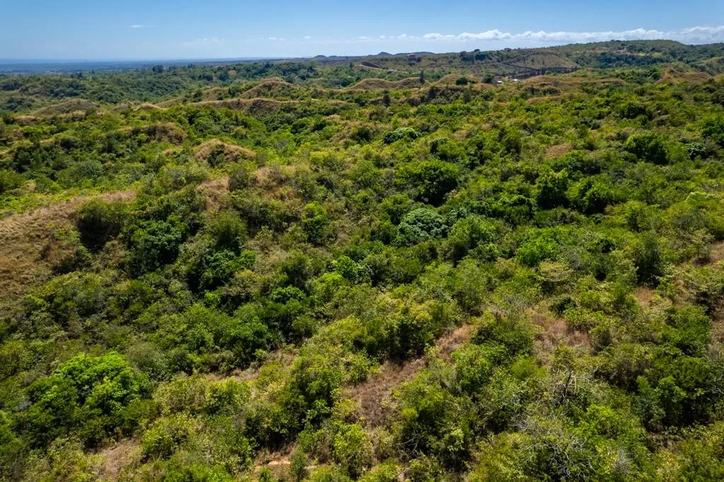 28 Ha Mountain Lot on the way to Anton Valley