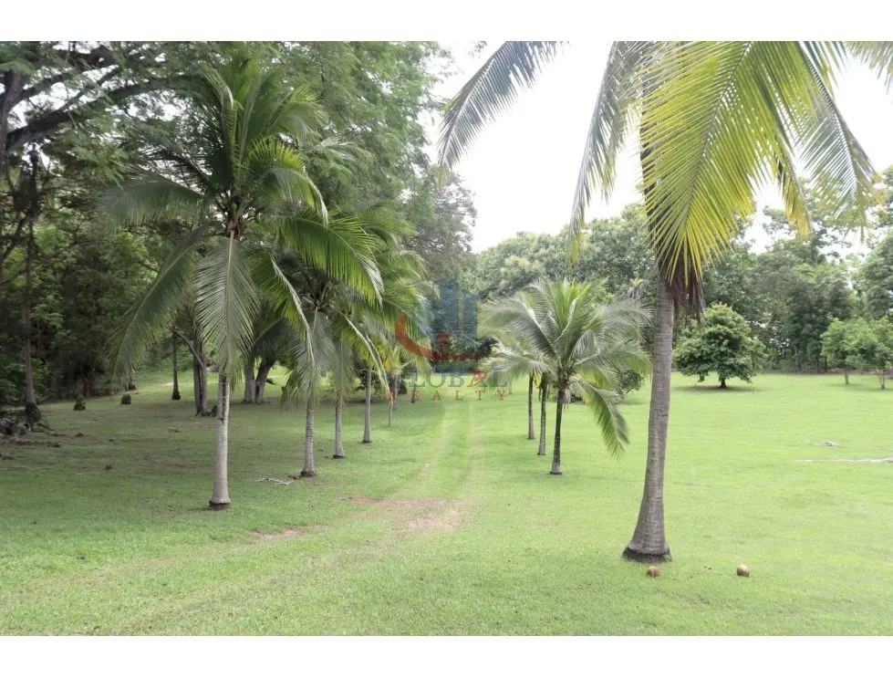 Terrain à bâtir à Rio Hato à vendre