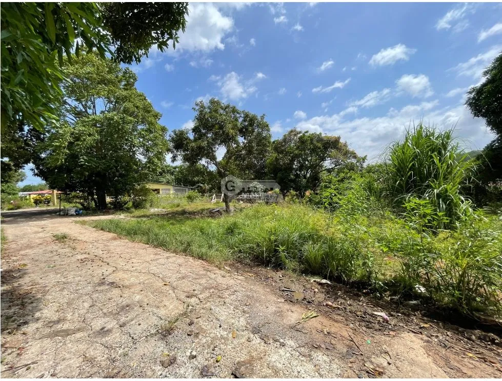 Building Lot for sale in Chorrera