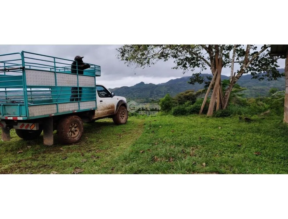 Land/Farm for sale in Capira