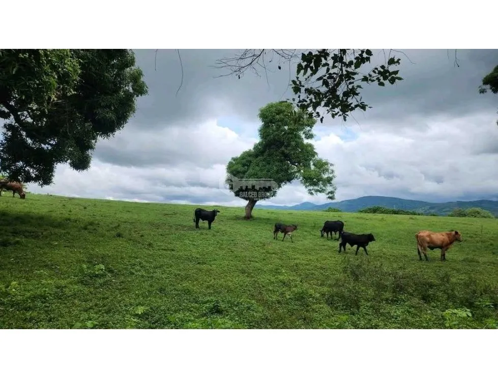 Building Lot for sale in Chepo