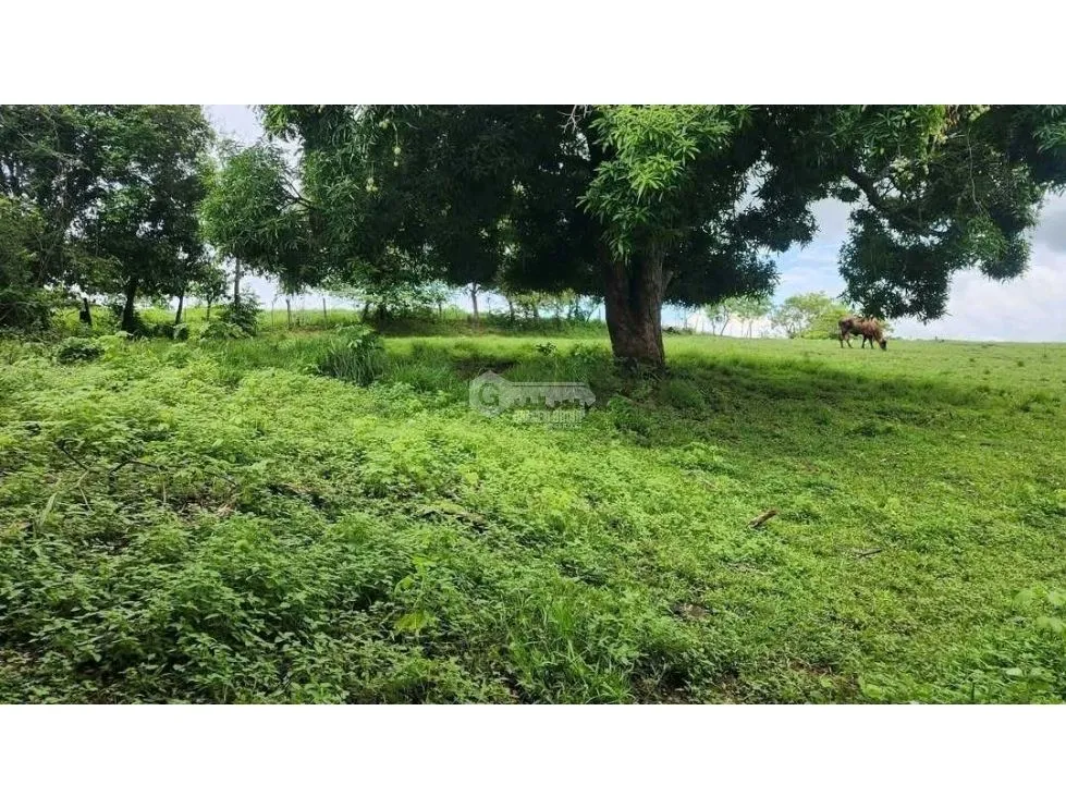 Building Lot for sale in Chepo