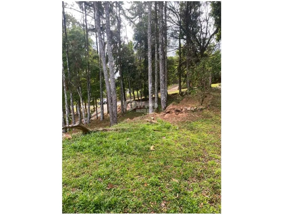 Maison unifamiliale à Cerro Azul à louer
