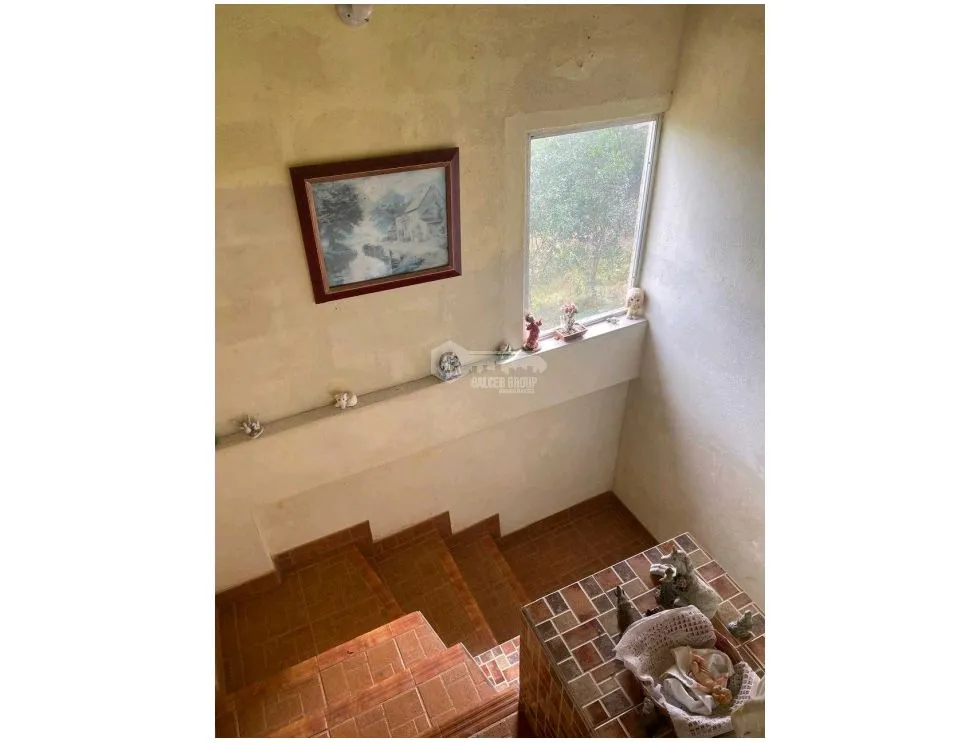 Maison unifamiliale à Cerro Azul à louer