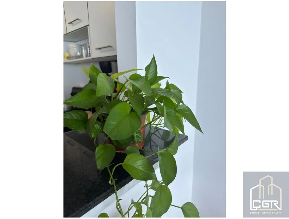 Apartment for sale in Bella Vista