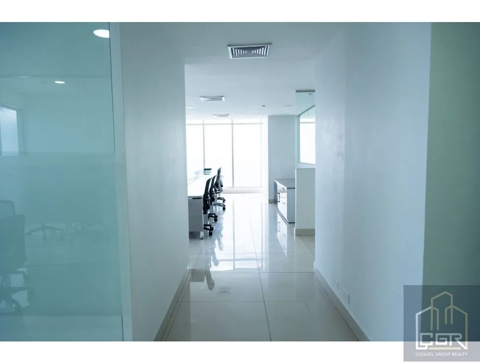 Furnished Office Rental on Avenida Balboa - Panama