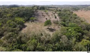 Terre / Ferme à Chorrera à vendre