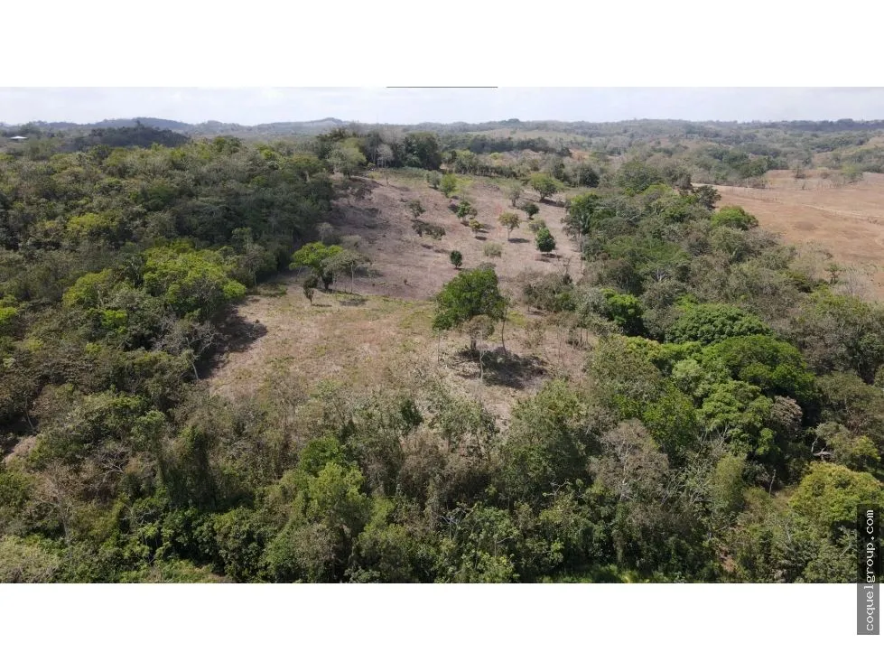 Terre / Ferme à Chorrera à vendre