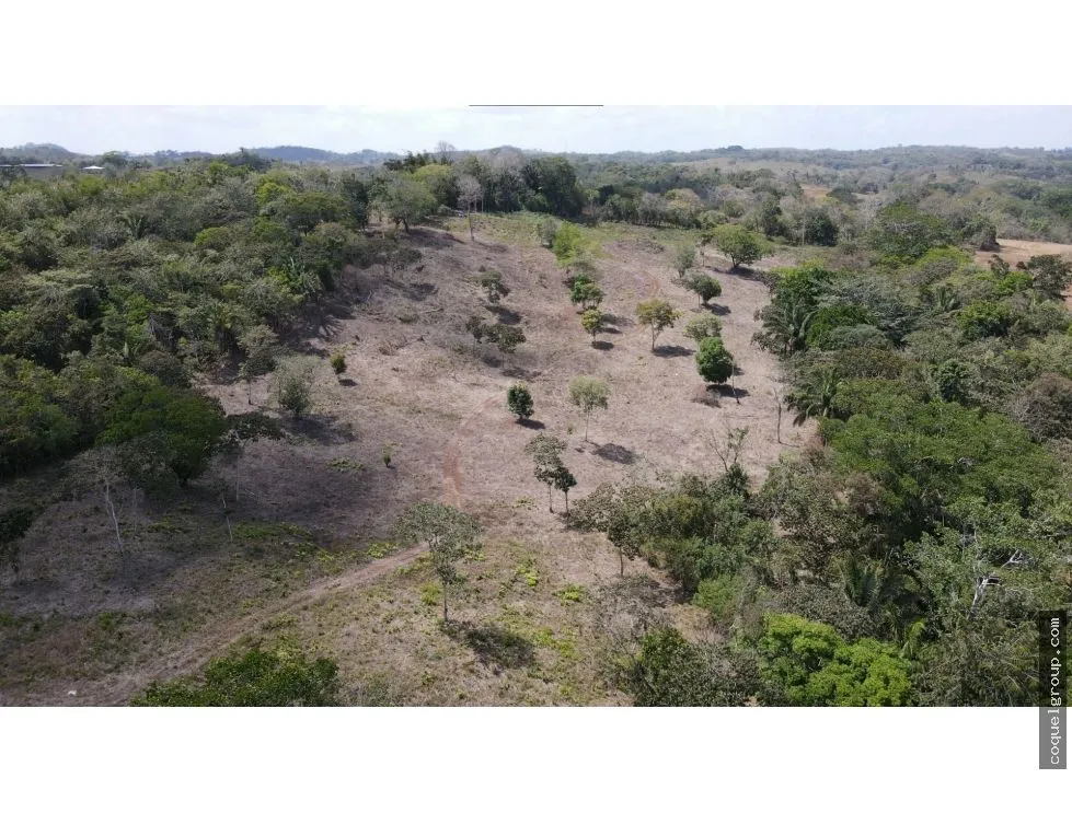 Terre / Ferme à Chorrera à vendre