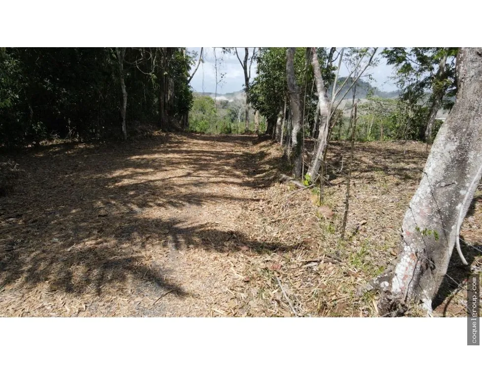 Terre / Ferme à Chorrera à vendre