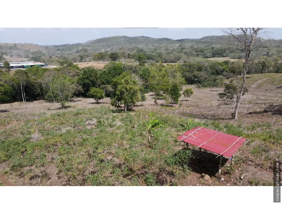 Terre / Ferme à Chorrera à vendre