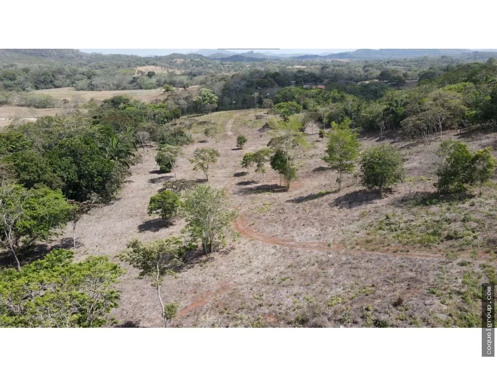Terre / Ferme à Chorrera à vendre