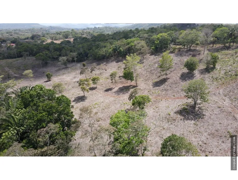 Terre / Ferme à Chorrera à vendre