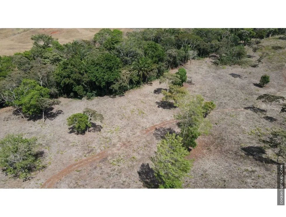 Terre / Ferme à Chorrera à vendre