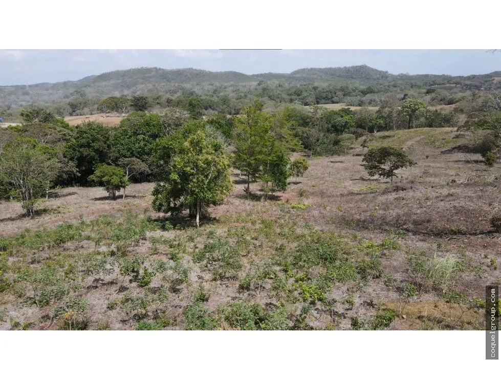 Terre / Ferme à Chorrera à vendre