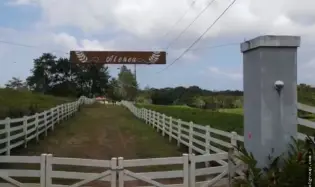 AGRICULTURAL FARM FOR SALE, LA ATENEA, AROSEMENA, LA CHORRERA