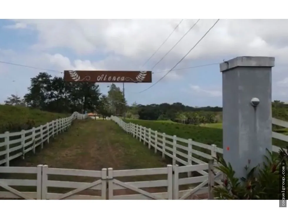 Land/Farm for sale in Chorrera