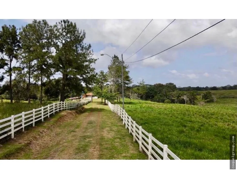 Land/Farm for sale in Chorrera
