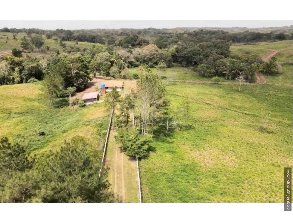Land/Farm for sale in Chorrera