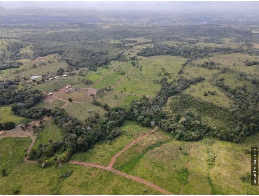 Land/Farm for sale in Chorrera
