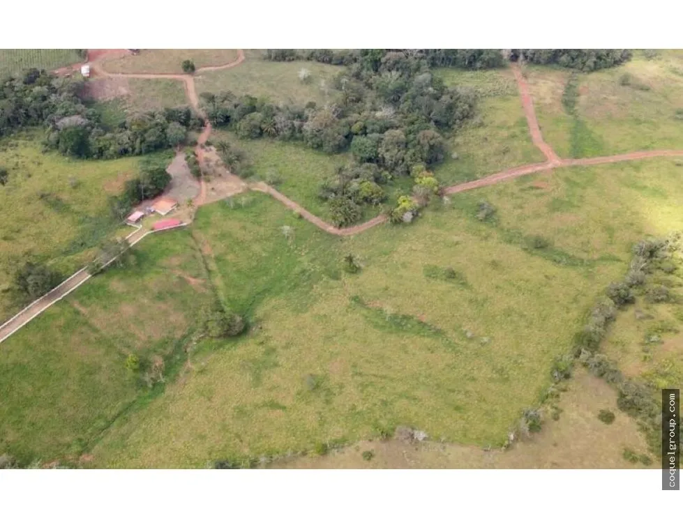 Land/Farm for sale in Chorrera