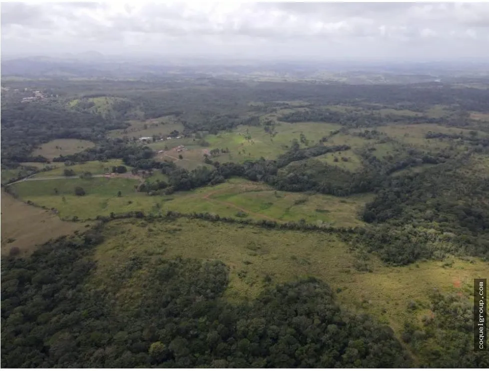 Land/Farm for sale in Chorrera