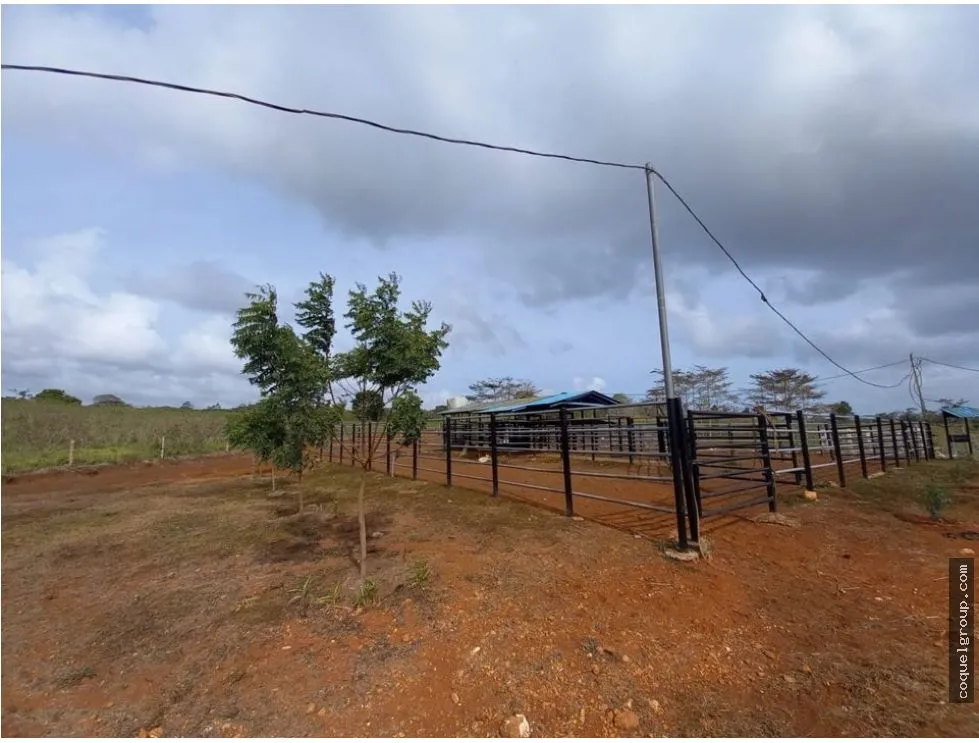 Land/Farm for sale in Chorrera
