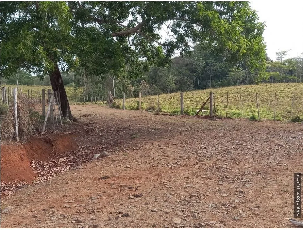 Land/Farm for sale in Chorrera
