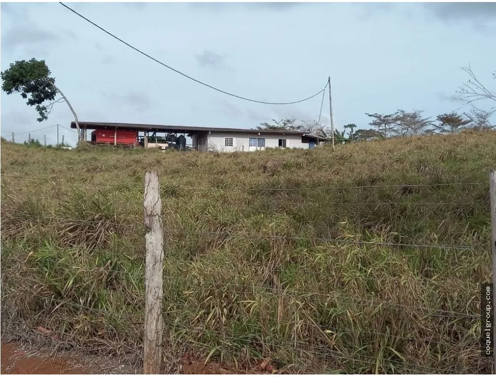 Land/Farm for sale in Chorrera